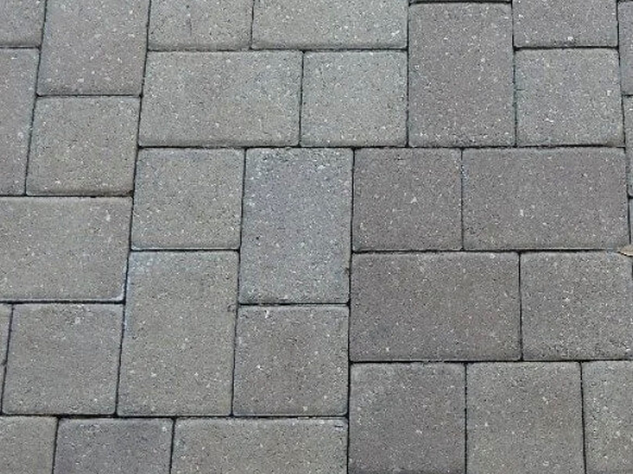 Close-up of gray concrete pavers in a modular pattern with tight sand joints on a West Palm Beach patio